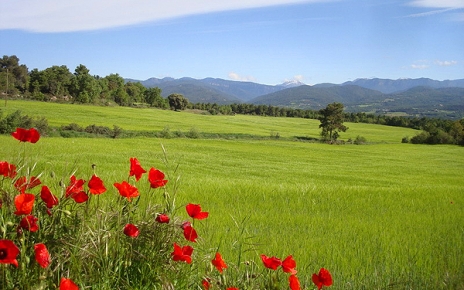 View of distant Pyrenees